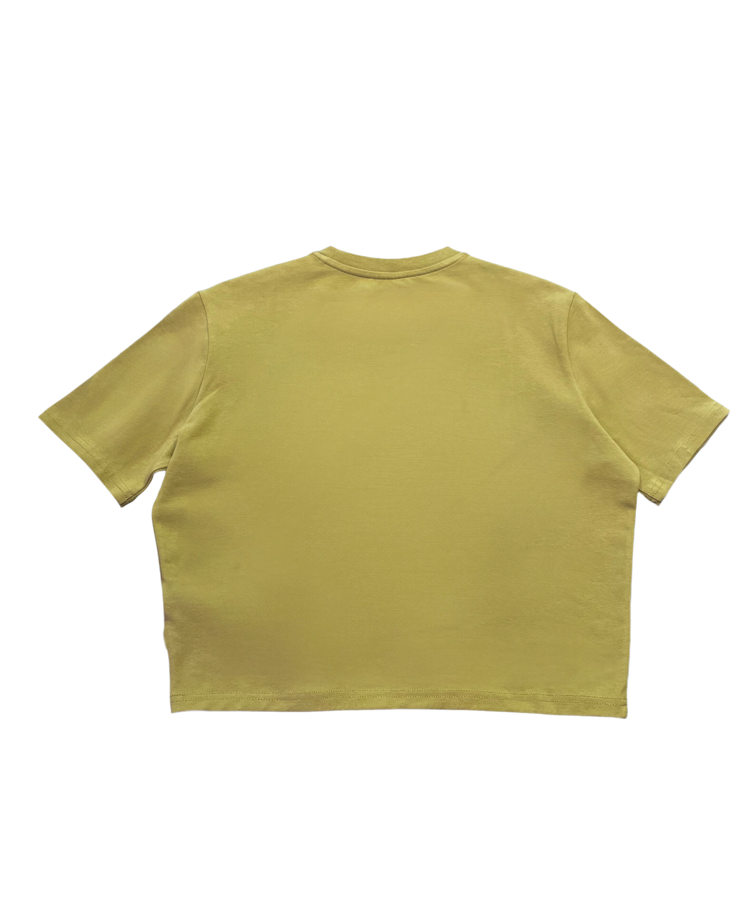 Dickies olive green Crop T-Shirt