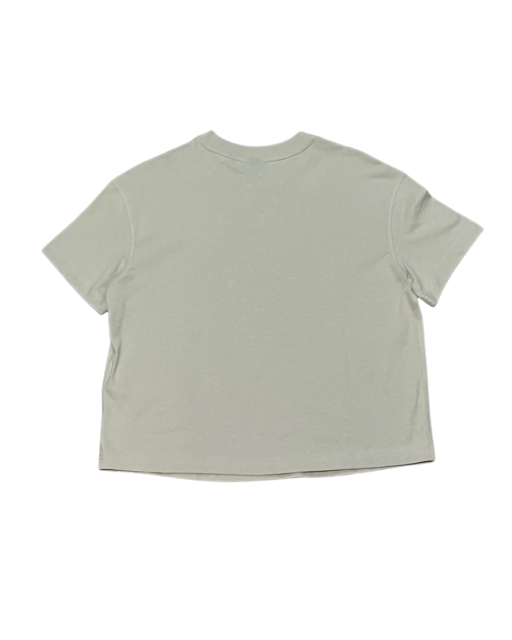 Dickies Loretto Cropped T-Shirt -Beige