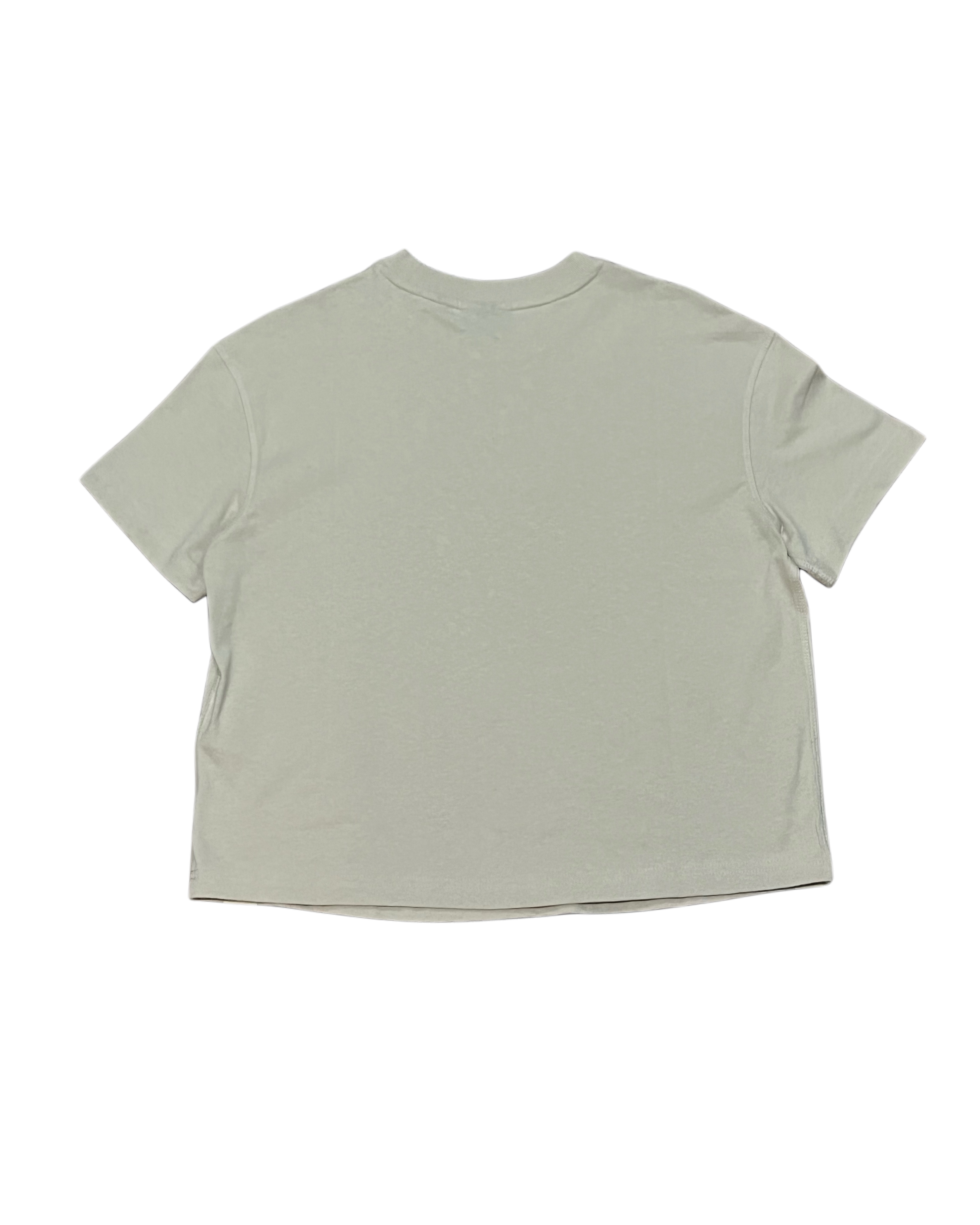 Dickies Loretto Cropped T-Shirt -Beige