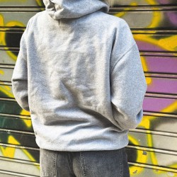 JORDAN GREY HOODIE 